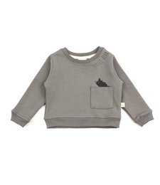 A gray knit sweater with a small pocket detail, suitable for children. The sweater has a relaxed, comfortable fit and is made of a soft, warm material.