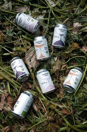 Forale fusion kombucha