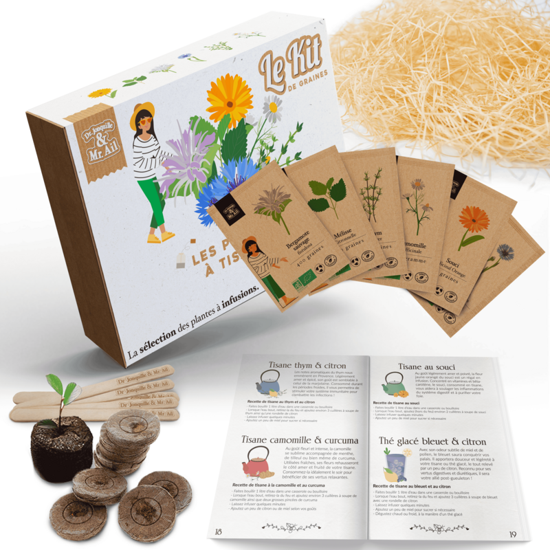 Piante Tisane - Kit giardinaggio tematico - Kit creativo - Fai da te - Regalo Natale