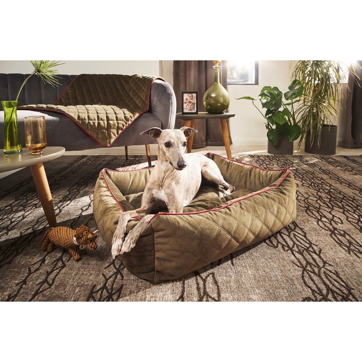 OXFORD I CLASSICO HUNDEBETT