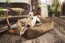 OXFORD I CLASSIC HUNDEBETT