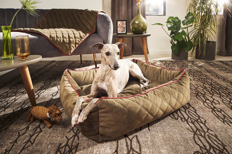 OXFORD I CLASSIC HUNDEBETT