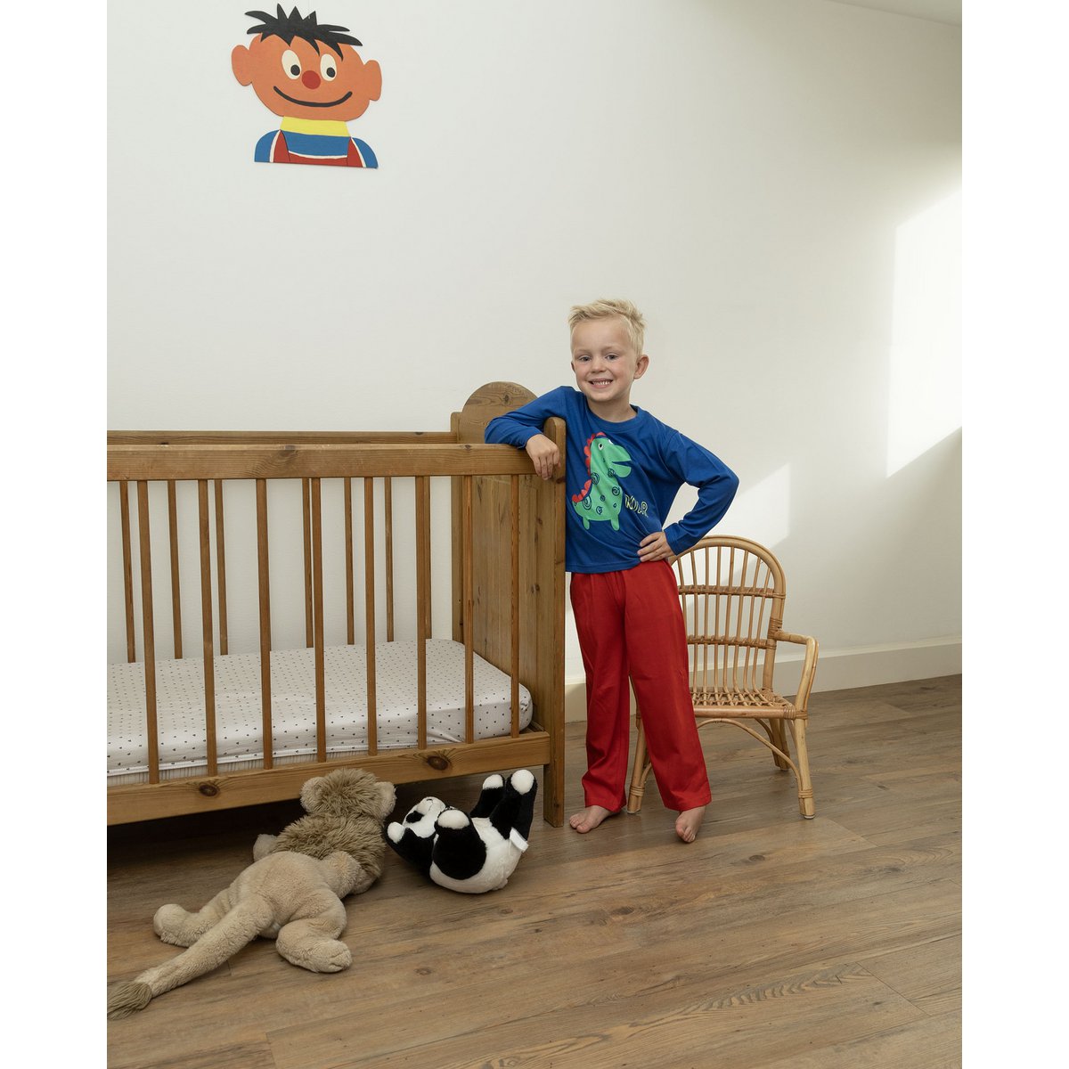 Boys Pajama Set - Roar!