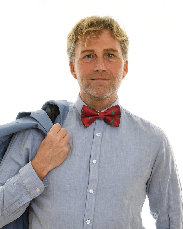 Bowtie - Bordeaux with Xmas trees with stars
