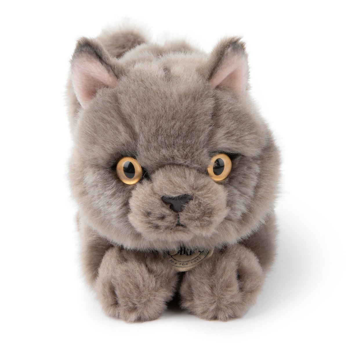 BTC - Freddy el Británico de Pelo Corto en caja de regalo - 20 cm -