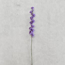 Lavanda