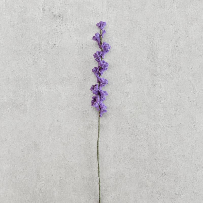 Lavanda