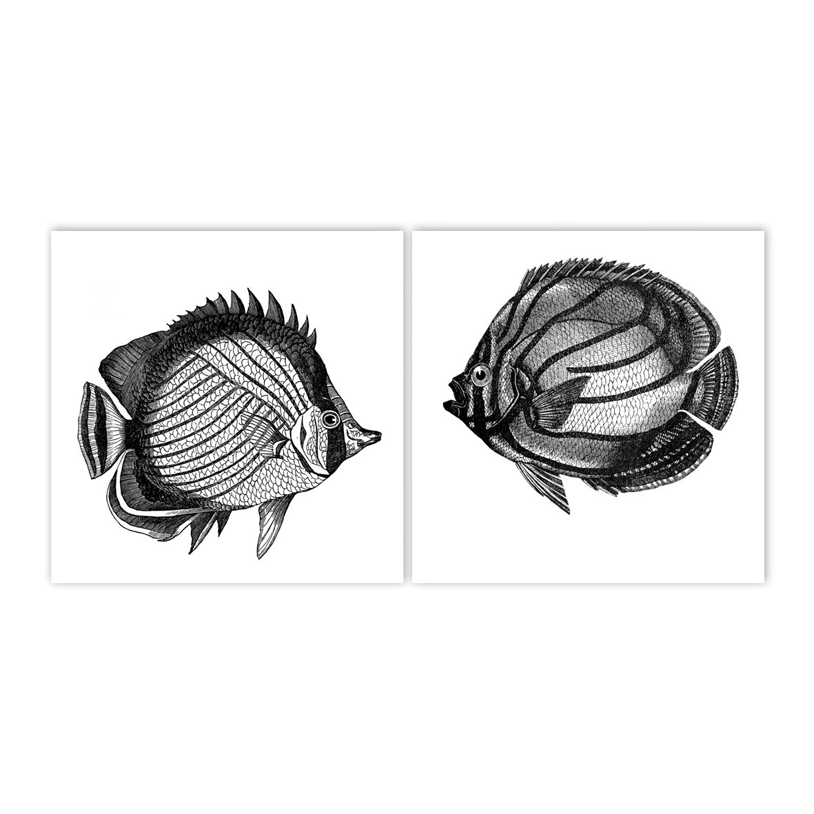 Johnny&June - stickers voor tegels