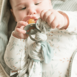 Pacifier Cuddle Rabbit - Willow Branch