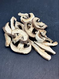 Mezcla de Hongos Deshidratados DESIDRATA®