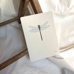 Kaartenset Insecten