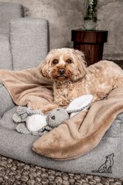 Juguete para perros Conejo Theo