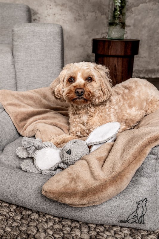 Juguete para perros Conejo Theo