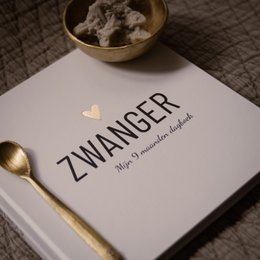 Pregnant - My 9 Month Diary