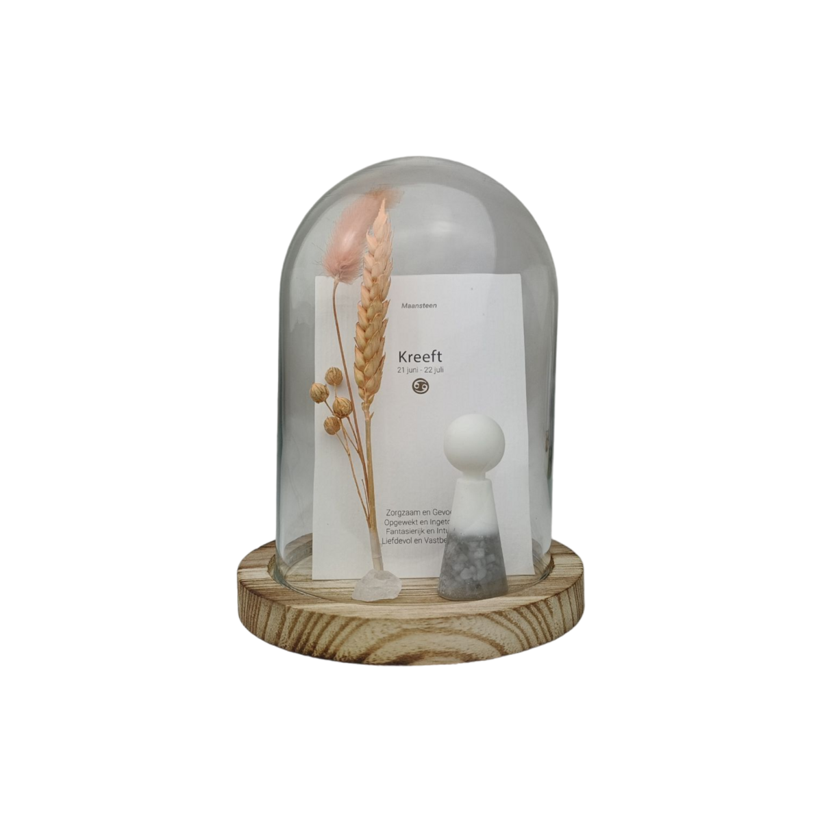 Gempops Horoscoop