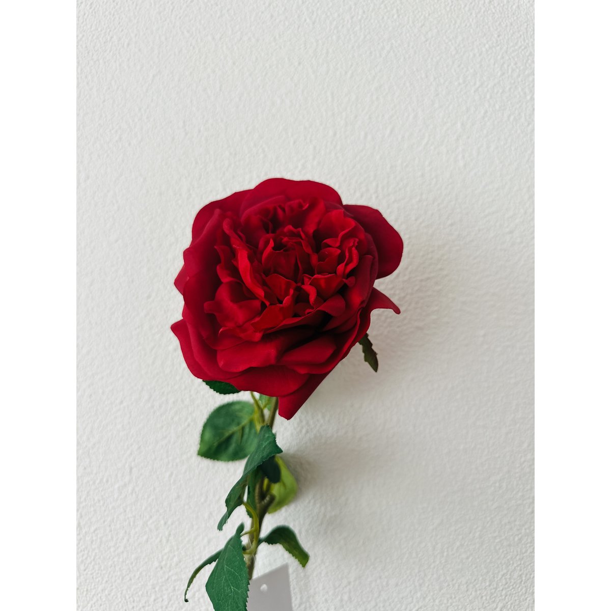 QMF Mano Toque Rosa 65cm 1PCS rojo