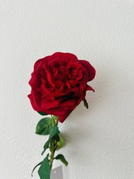 QMF Hand Touch Rose 65 cm 1 STK rød