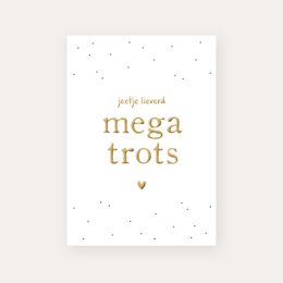 Kort Mega Pride | Guld folie