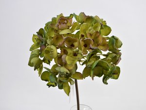 Hortensia, 40cm, groen
