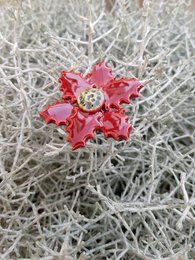Christmas star red ceramic plant pick 5 cm