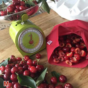 Flaxie Freeze - Wiederverwendbare Gefrierbeutel - Medium