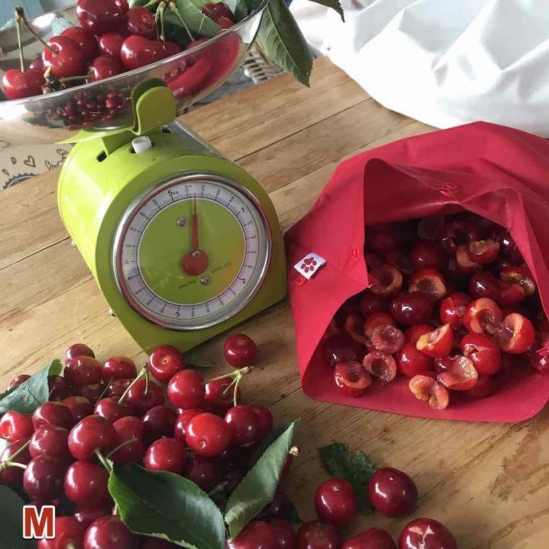 Flaxie Freeze - Borsa per congelatore riutilizzabile - Media