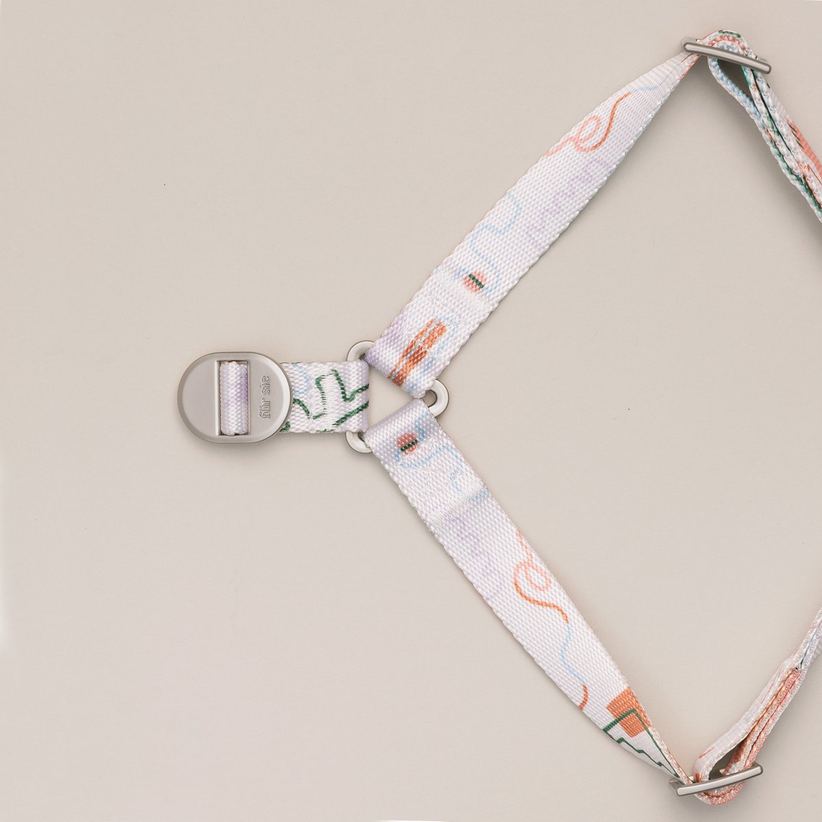 Matteo No-Pull Dog Harness
