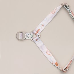 Matteo No-Pull Dog Harness