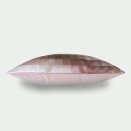 262 Pillow Pixelpot ZW-W 50x50