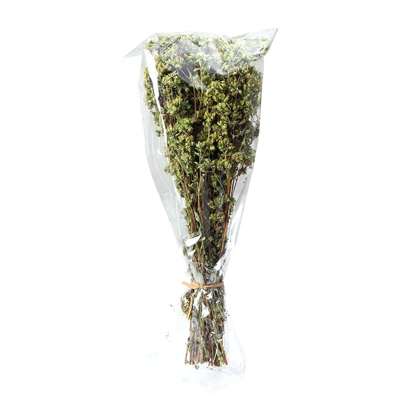 Berg-Oregano aus Kalabrien, Strauch 50 g