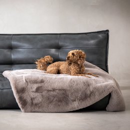 SOFT AFFAIR knuffeldeken voor honden