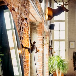 CLIMBER LAMP