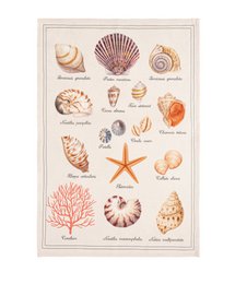 "Beige tea towel with sea shells, starfish, coral, and ocean creatures illustration. Coastal nautical design."