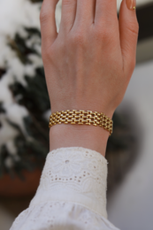 Oliveira – Gold-Silber-Mesh-Choker-Halskette