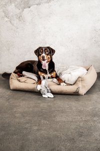 Dream-Duo Oatfield (beige / natural)