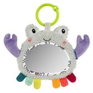 Activity mirror crab