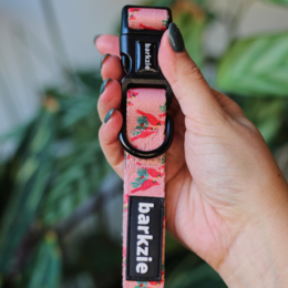 Colorful, patterned pet collar with adjustable size options for small to medium dogs. Made of durable material for comfortable wear.