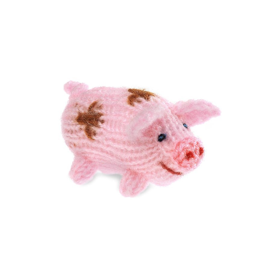 Cerdo de punto, pequeño