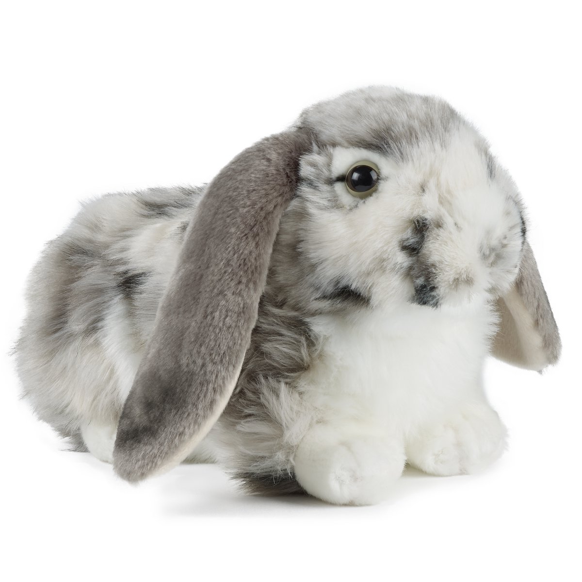 DUTCH LOP EARED RABBIT GREY 30cm