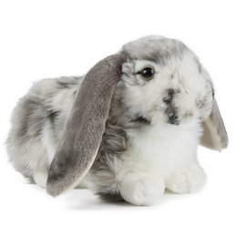 DUTCH LOP EARED RABBIT GREY 30cm
