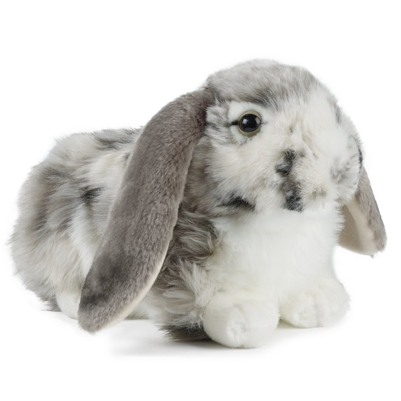 DUTCH LOP EARED RABBIT GREY 30cm