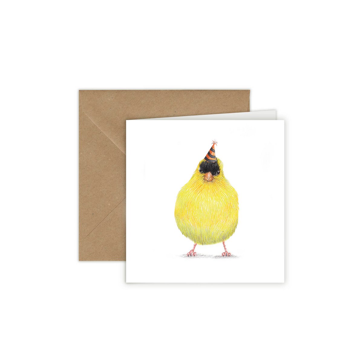 Verjaardagskaart vogel, kaarten voor dieren, grappige mini -kaart, feestvogels
