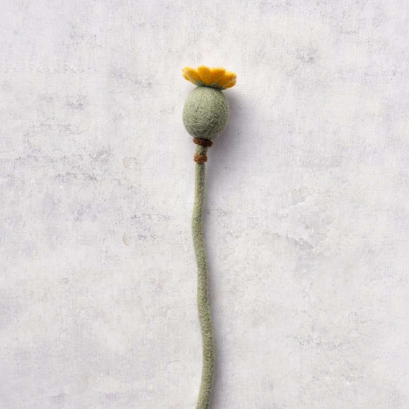 Papaver closed