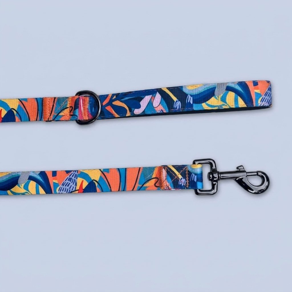 Laisse pour chien Lagon 150cm