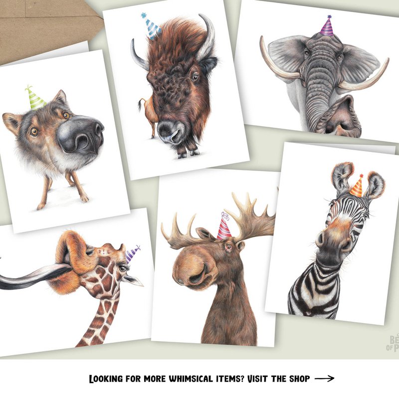 Funny Zebra Birthday Card, Greeting Card, 4.72'' x 6.69''