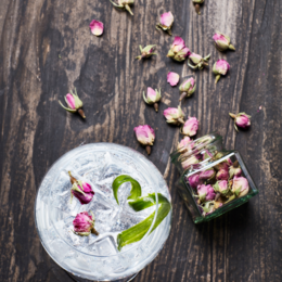 Boutons de rose