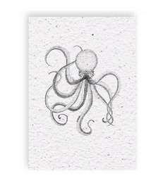 Tabla de crecimiento Pulpo