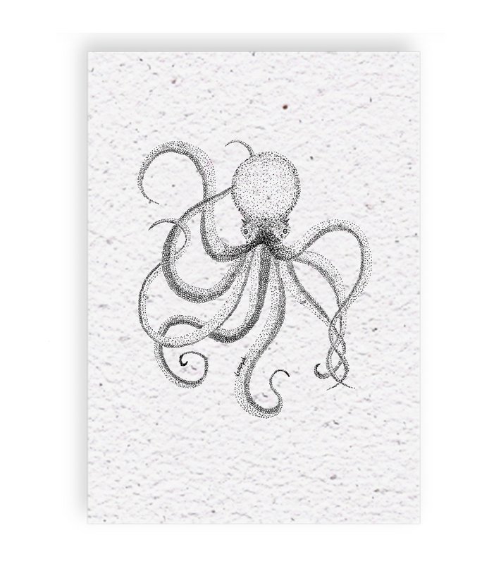 Octopus growth chart