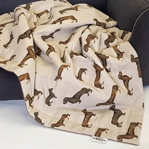 Hundedecke Dackel Toni