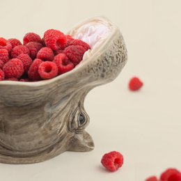 Hungry Hippo Bowl